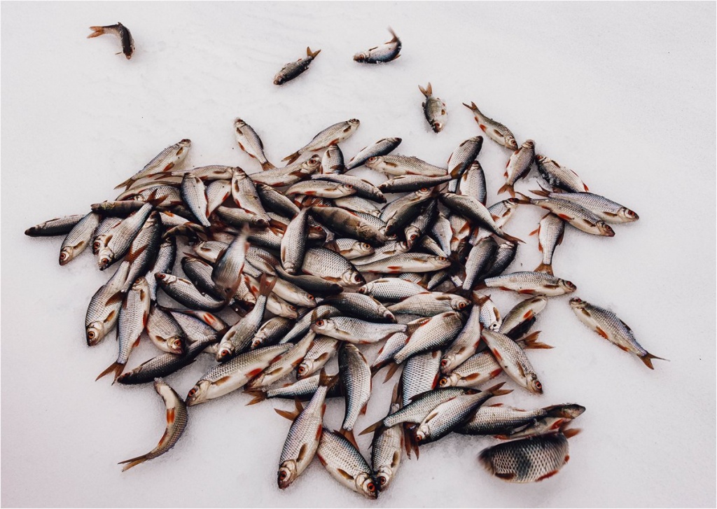 Где закрыть сезон зимней рыбалки 00003.JPG